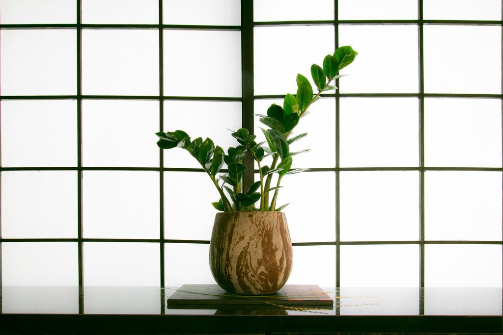 Hosta Nijo Aoi Villa Kyoto Exteriör bild